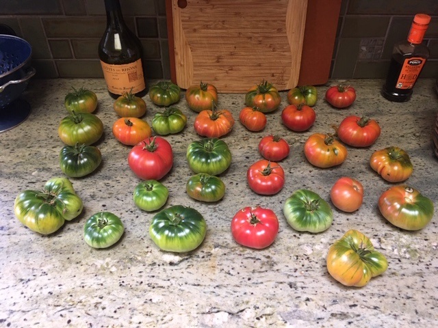 too many ripening at the same time
